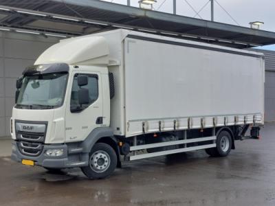 Обзор DAF LF 290 4x2 (Euro-6): универсальный грузовик для городской и региональной логистики